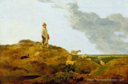 Vue sur Mousehold Heath, près de Norwich