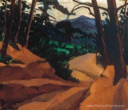 Paysage forestier