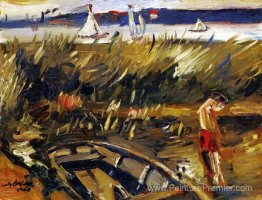 Punt dans les anches de Muritzsee