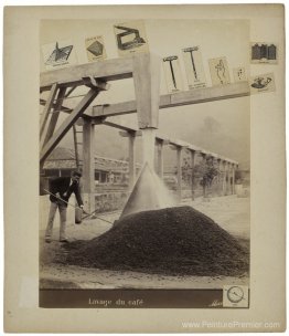 Lavage du café