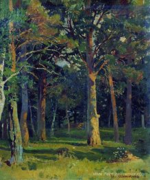 Forêt, pin