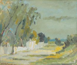 Paysage d'été