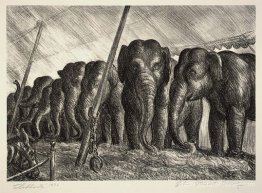 Éléphants du cirque