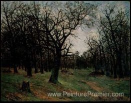 Forêt sans feuilles