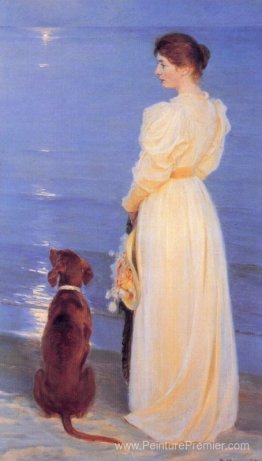Soirée d'été à Skagen