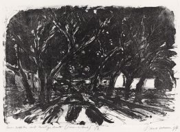 Sept sœurs - un groupe d'arbres sur KNSM-Island à Amsterdam