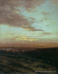 Migration du soir des oiseaux