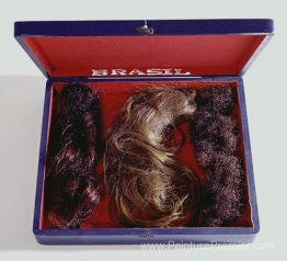 Poèmes visuels. Box Brésil
