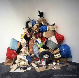 Jungle en béton (les oiseaux)