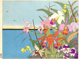 Les fleurs des iles laintaines. Mers de Sud