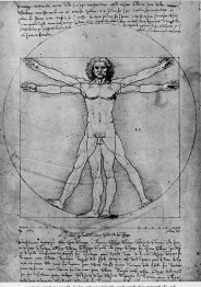 Les proportions de la figure humaine (l'homme vitruvien)