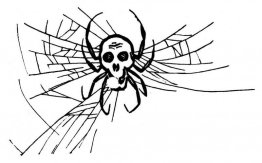 Araignée