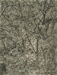Jardin en hiver
