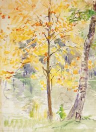 Couleurs d'automne dans le Bois de Boulogne