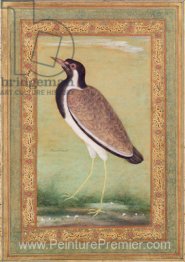 Repwing indien