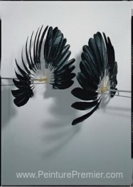 Le jumeau du corbeau