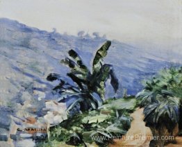 Paisagem com Bananeiras Paisagem com Bananeiras