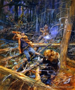 Un grizzly blessé Un grizzly blessé
