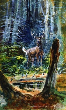 Cerf dans le Dell Cerf dans le Dell