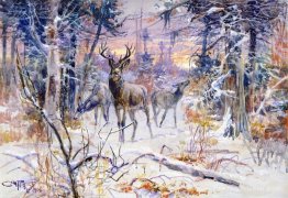 Cerf dans une forêt enneigée Cerf dans une forêt enneigée