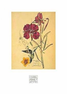 Fleurs Fleurs