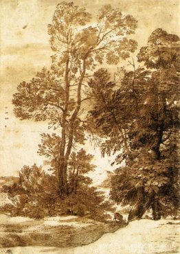 Des arbres Des arbres
