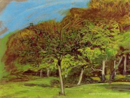 Arbres fruitiers Arbres fruitiers