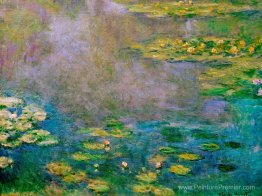 Nénuphars Nénuphars