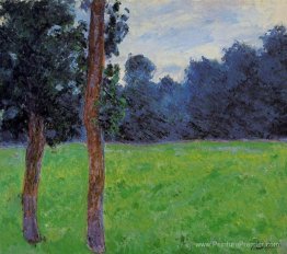 Deux arbres dans une prairie Deux arbres dans une prairie