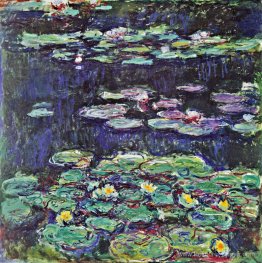 Nénuphars Nénuphars