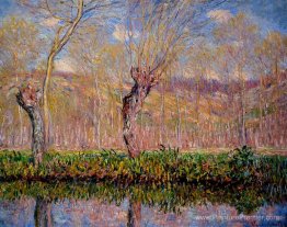 Les rives de la rivière Epte au printemps Les rives de la rivière Epte au printemps