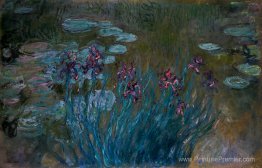 Iris et liés à eau Iris et liés à eau