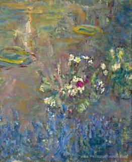 Nénuphars Nénuphars