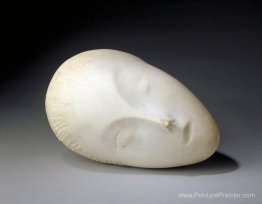 Muse de sommeil Muse de sommeil