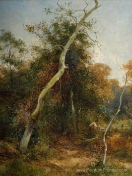 Rester la clôture, Sutton Park Rester la clôture, Sutton Park