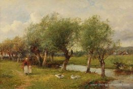 Nourrir les oies Nourrir les oies