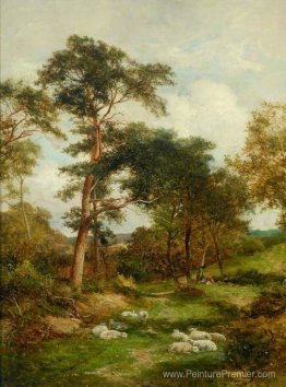 Une voie de Warwickshire Une voie de Warwickshire