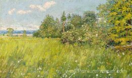 Prairie d'été Prairie d'été