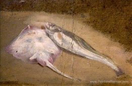 Étude du poisson, du patin et de la morue Étude du poisson, du patin et de la morue