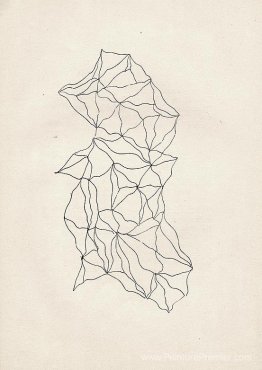 Graphomanie entopique Graphomanie entopique