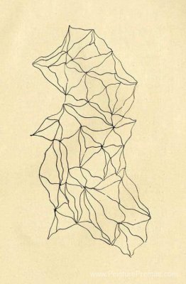Graphomanie entopique Graphomanie entopique