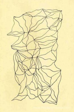 Graphomanie entopique Graphomanie entopique