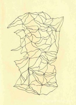 Graphomanie entopique Graphomanie entopique