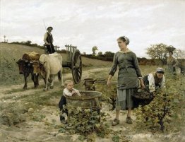 Pièce de vigne Pièce de vigne