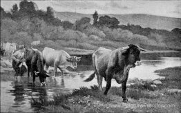 Le Soir dans les Ramières Le Soir dans les Ramières