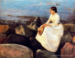 Nuit d'été (Inger sur le rivage) Nuit d'été (Inger sur le rivage)