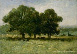 Paysage Paysage