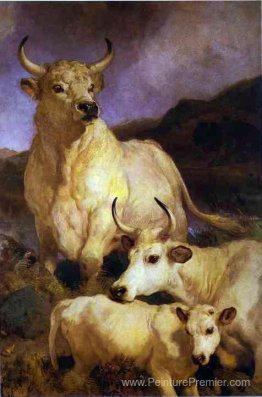 Le bétail sauvage de Chillingham Le bétail sauvage de Chillingham
