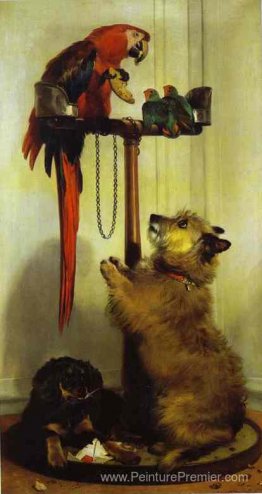 Puppies de macaw, d'oiseaux d'amour, de terrier et d'épannage, a Puppies de macaw, d'oiseaux d'amour, de terrier et d'épannage, a