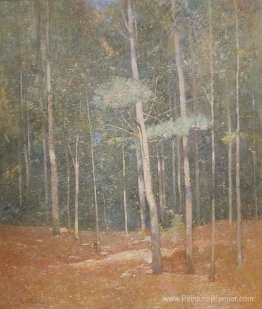 Paysage Paysage